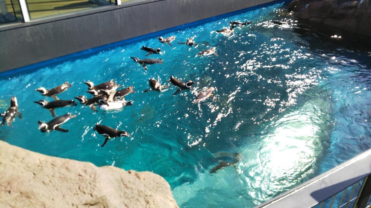 Oyo Joetsu City Hotel Kasugayama Kültér fotó